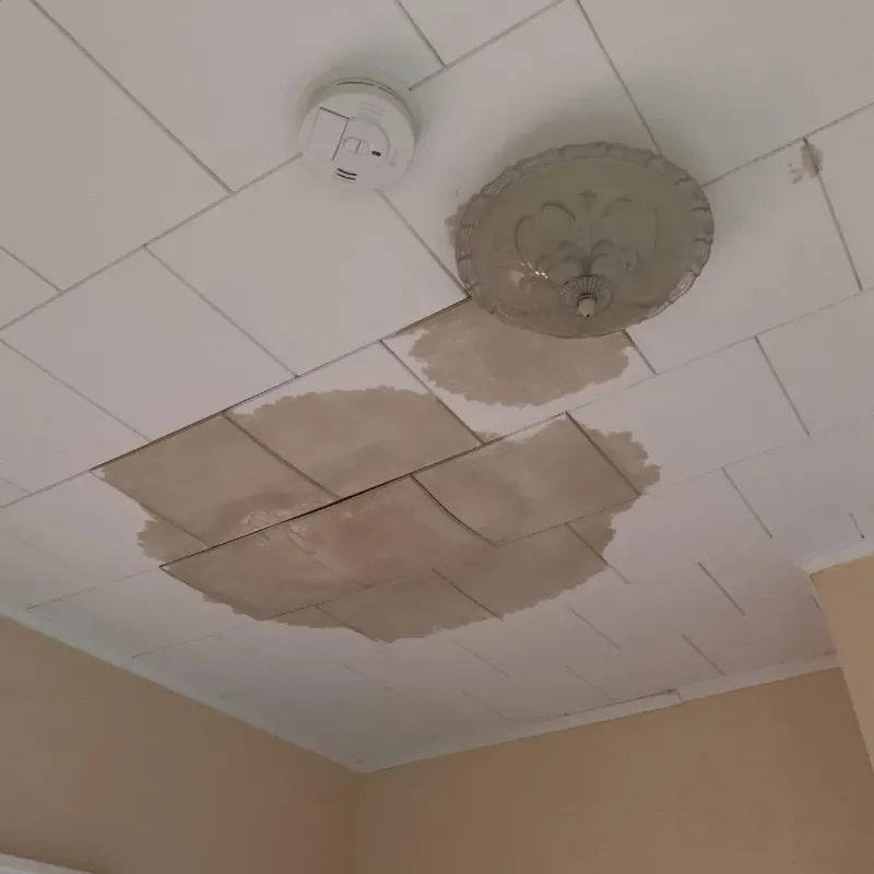 Ceiling Water Damage Repair in Corcoran, MN